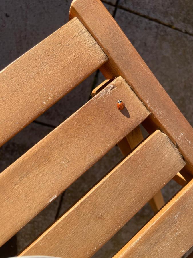 Duplex 6 Plazas Para Desconectar De La Rutina Oliana Dış mekan fotoğraf